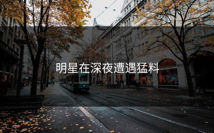 明星在深夜遭遇猛料