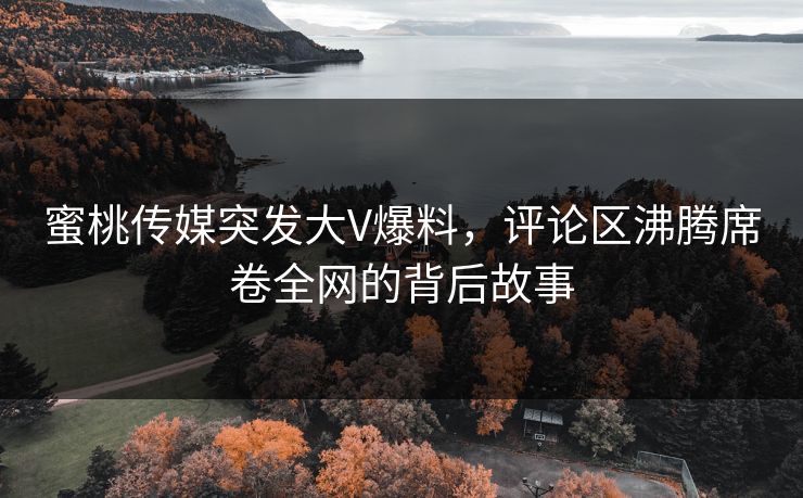 蜜桃传媒突发大V爆料，评论区沸腾席卷全网的背后故事