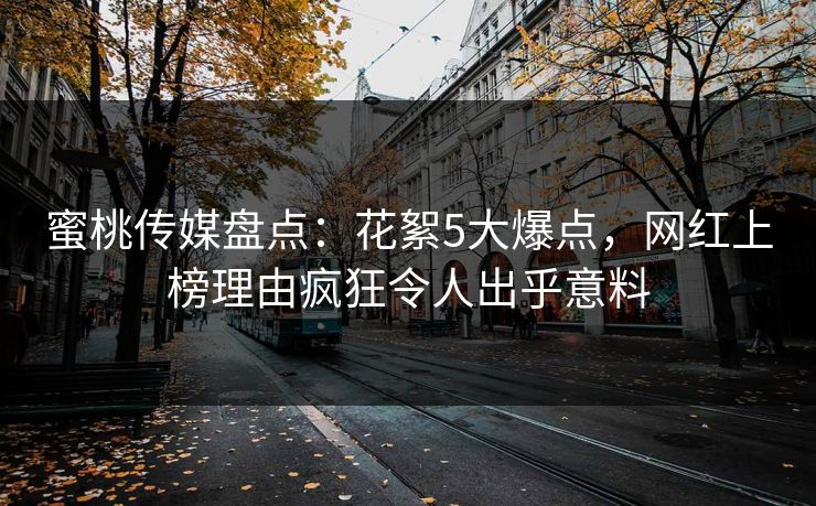 蜜桃传媒盘点：花絮5大爆点，网红上榜理由疯狂令人出乎意料