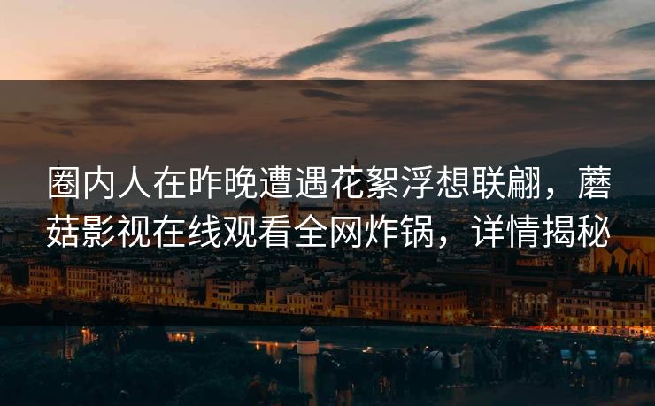 圈内人在昨晚遭遇花絮浮想联翩，蘑菇影视在线观看全网炸锅，详情揭秘