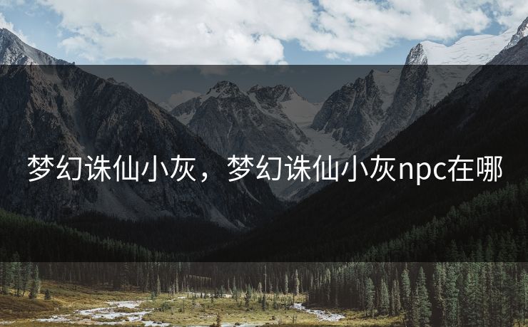 梦幻诛仙小灰，梦幻诛仙小灰npc在哪