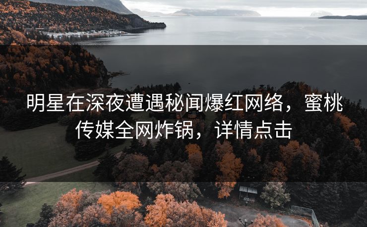 明星在深夜遭遇秘闻爆红网络，蜜桃传媒全网炸锅，详情点击