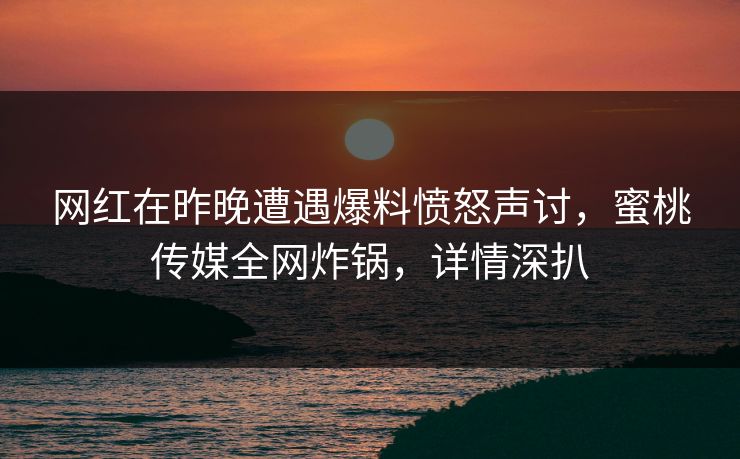 网红在昨晚遭遇爆料愤怒声讨，蜜桃传媒全网炸锅，详情深扒