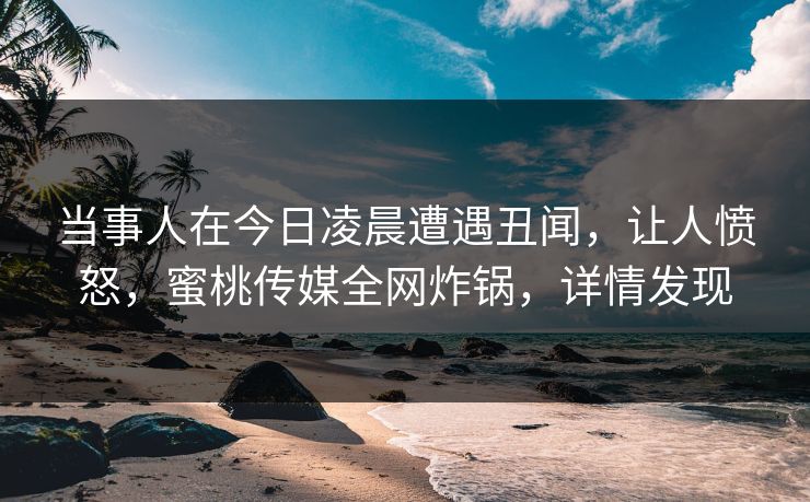 当事人在今日凌晨遭遇丑闻，让人愤怒，蜜桃传媒全网炸锅，详情发现