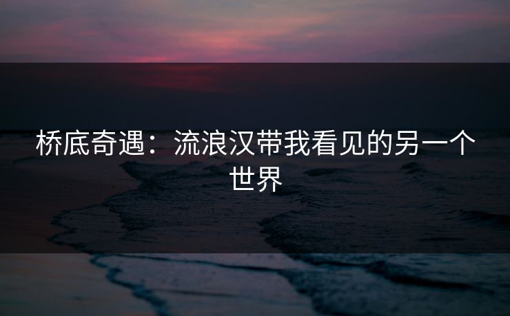 桥底奇遇:流浪汉带我看见的另一个世界 桥底奇遇:流浪汉带我看见的另一个世界