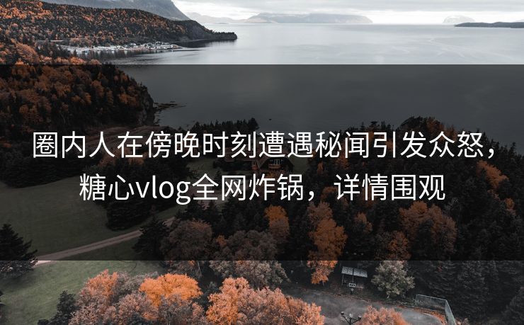 圈内人在傍晚时刻遭遇秘闻引发众怒，糖心vlog全网炸锅，详情围观